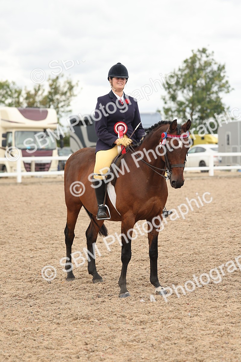 SBM_16070 - Class 311 - Ridden Show pony-Show hunter Pony