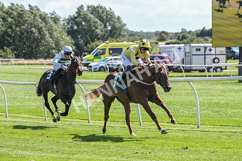 050825-Race 1-Reverberate-5035 - Race 1