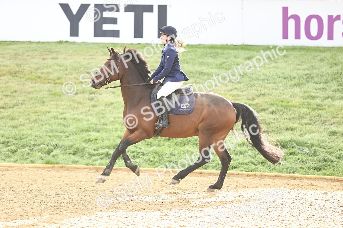 SBM_55222 - J62 - Clear Round 90cm