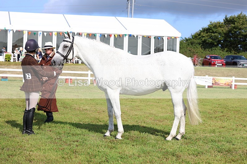 3E7A9122 - Class 3: Rising Star S/L Hunter