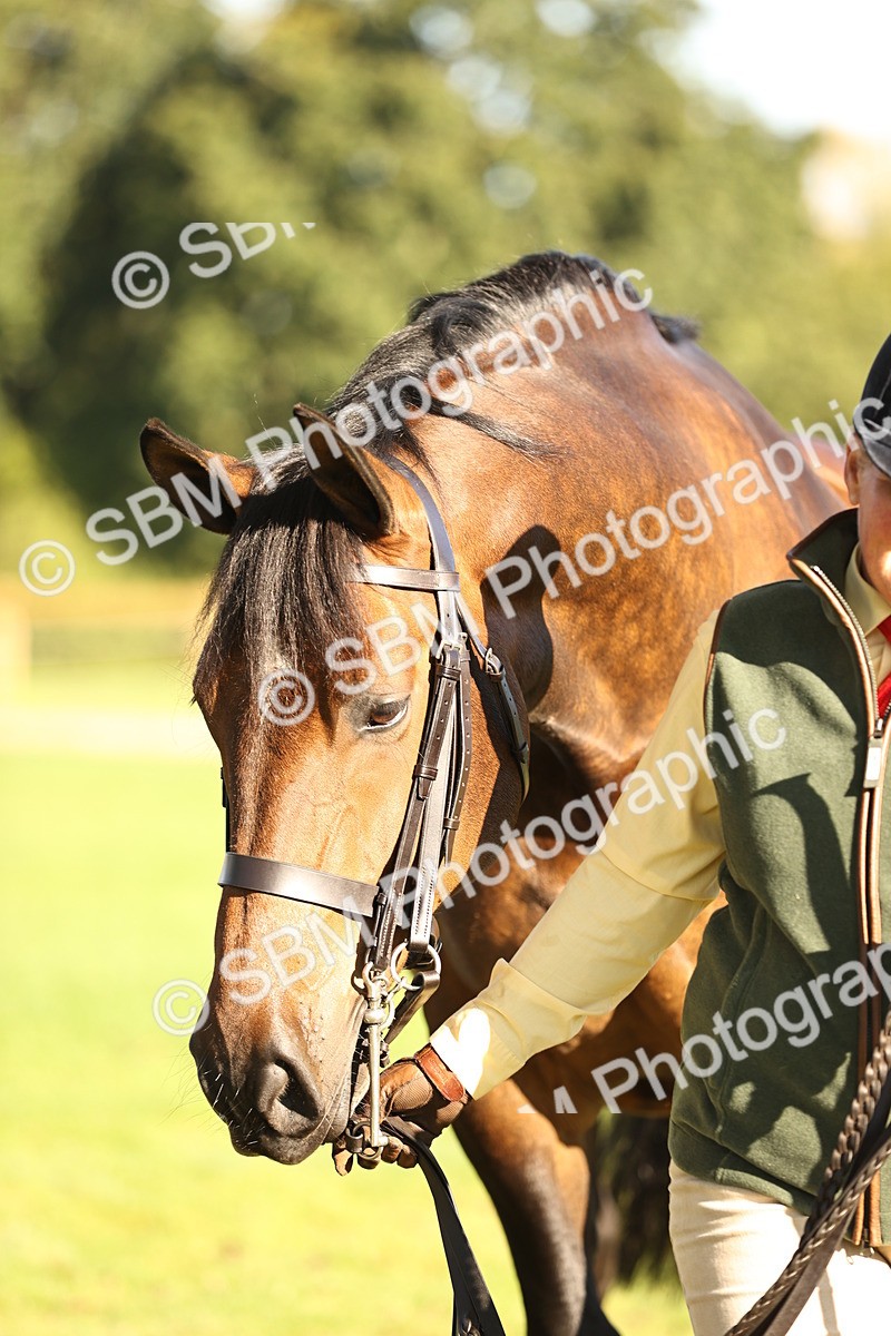 SBM_15721 - S1 - TSR in Hand Horse & Pony Showing
