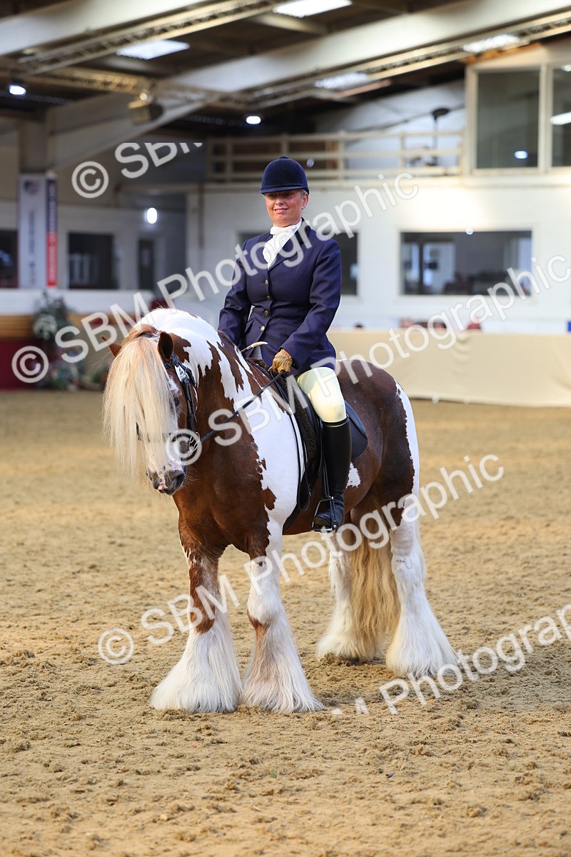 SBM_24608 - Class 906 - Supreme Final - Ridden Pre Vet