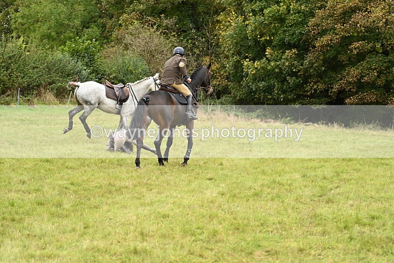 WJ7_4150 - Camera 1 Line 2