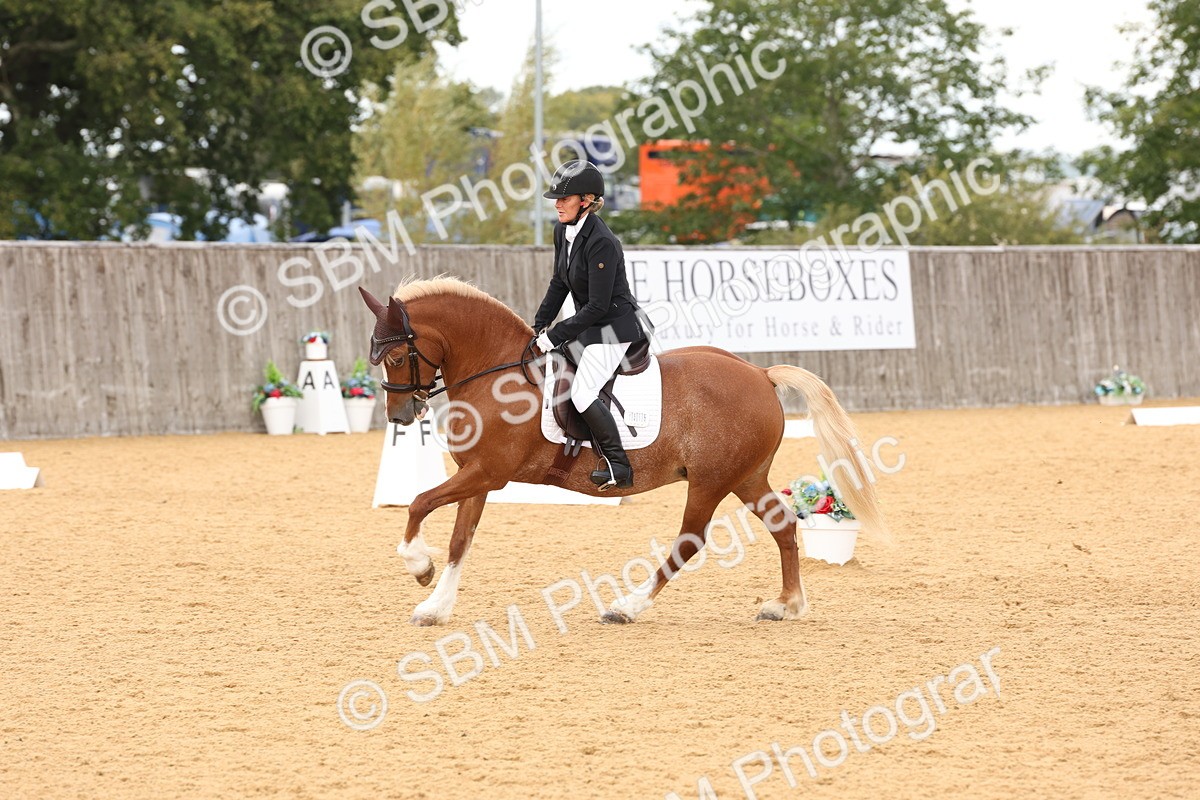 SBM_19520 - D10 - Small Tour Championship Prelim 2