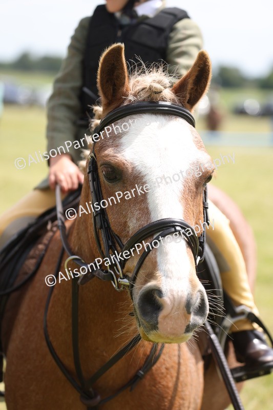20260614-2028 - Class 21 - Novice Working Hunter Pony