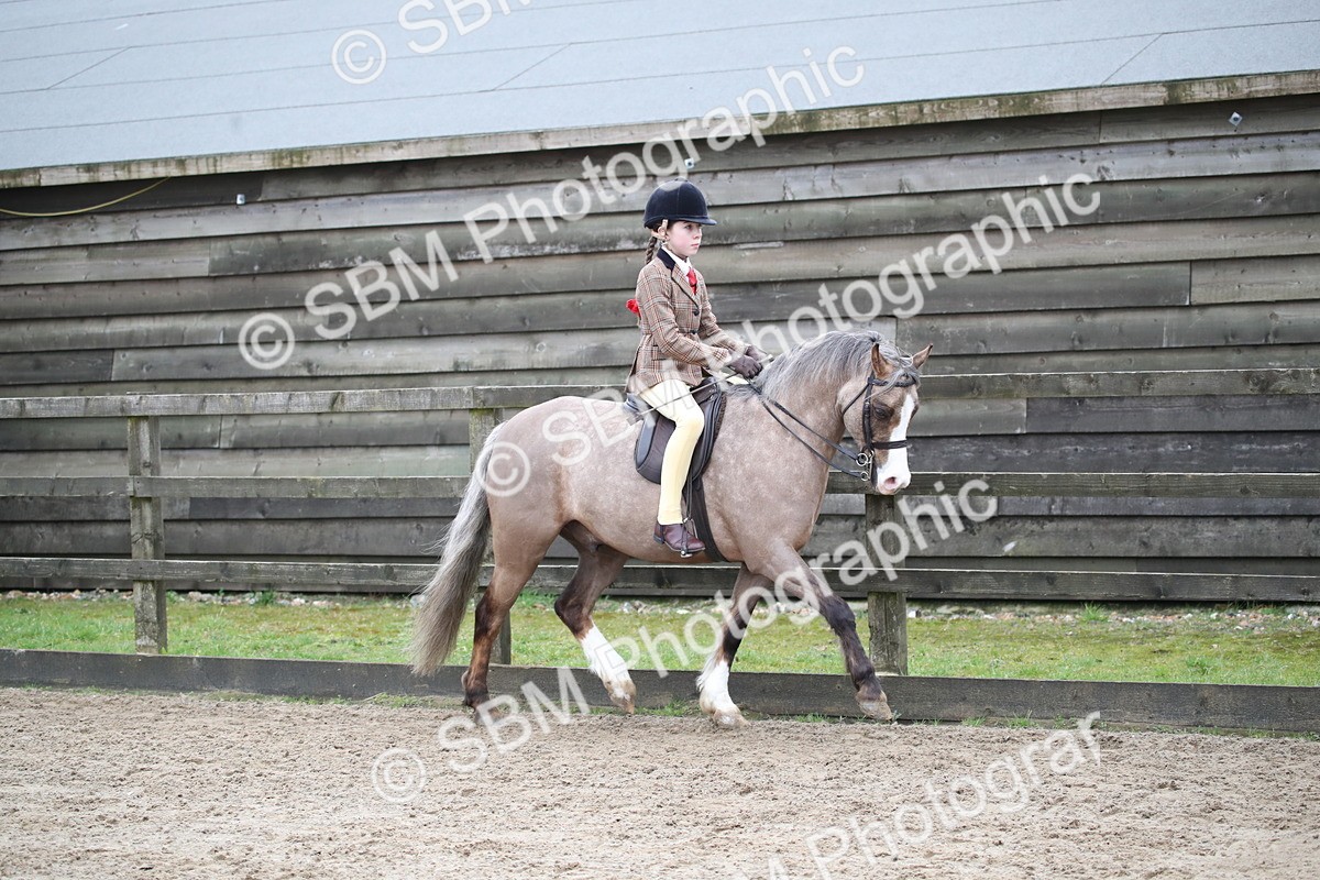 SBM_005886 - Class 10-13 - RIHS Small Large Breeds
