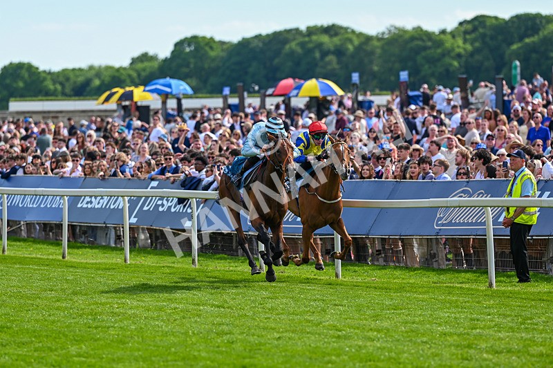 230526-Race 6-Pearl River-7744 - Race 6 16.25pm Royal Yorkshire Regiment Handicap