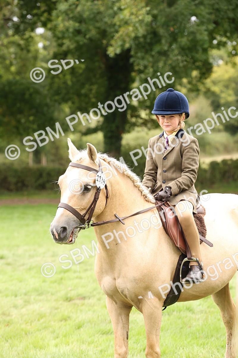 SBM_63047 - S64 - Foreign Breeds Ridden