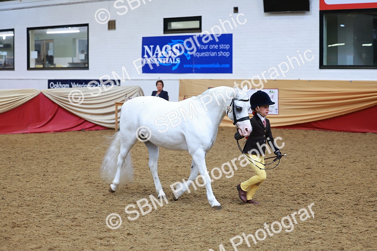SBM_10731 - Class 103 - HOYS Veteran Qualifier - Ridden Pre Vet