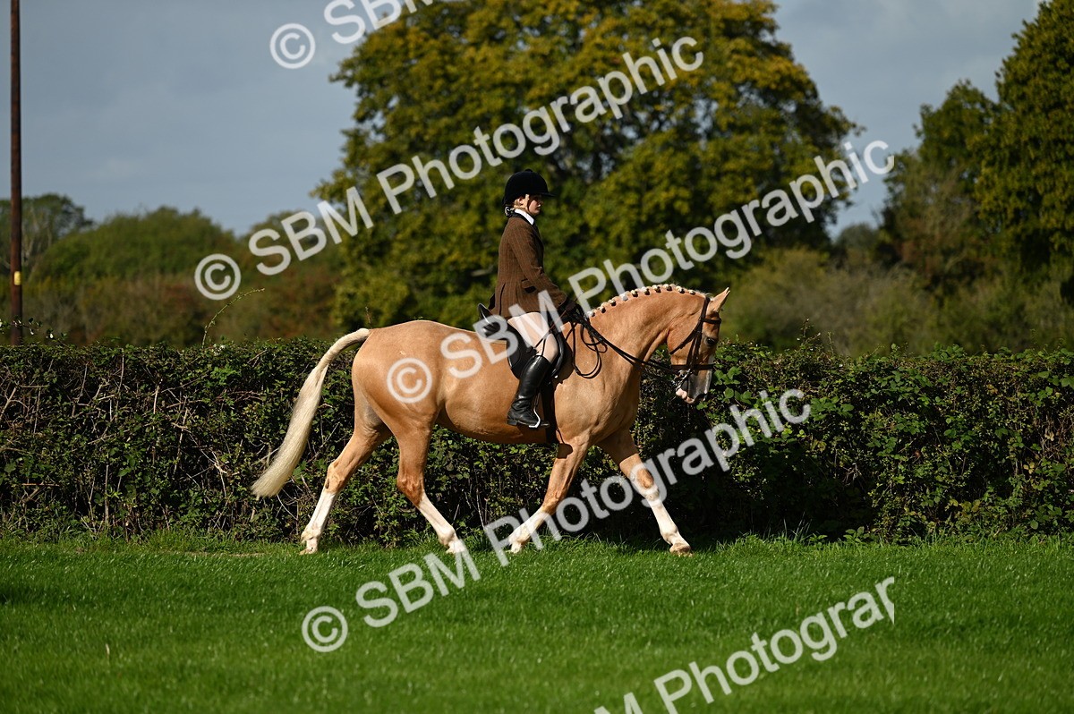 SBM_01274 - S2 - TSR Ridden Horse Showing