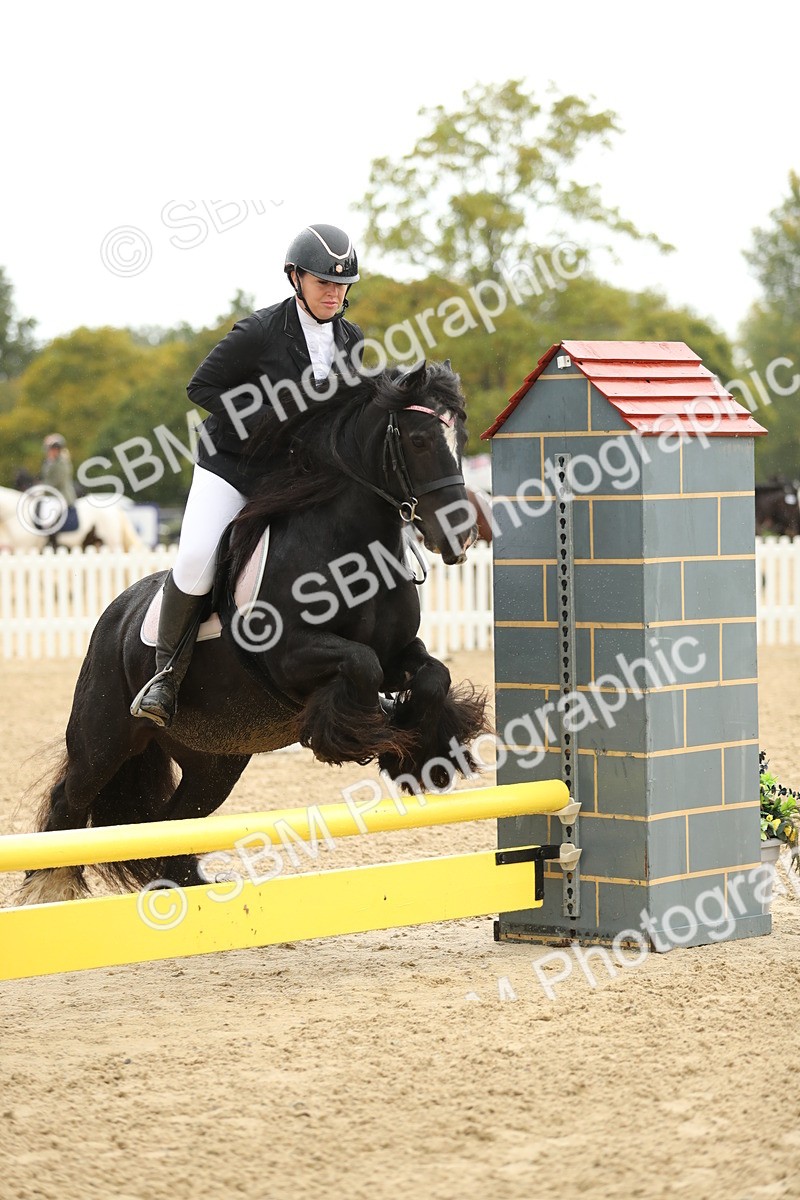 SBM_00878 - J27 - Senior Horse & Pony 50cm Championships