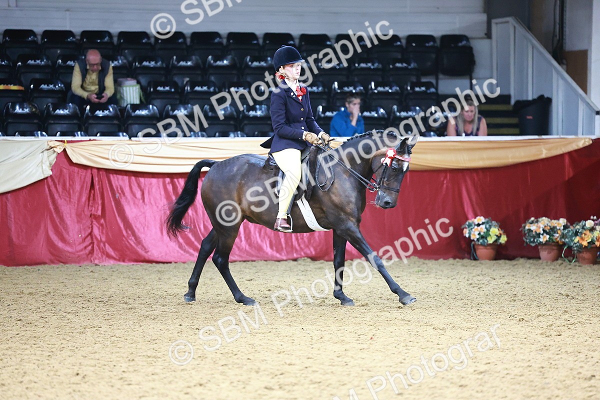 SBM_23345 - Class 904 - Supreme Final - Ridden Diamond