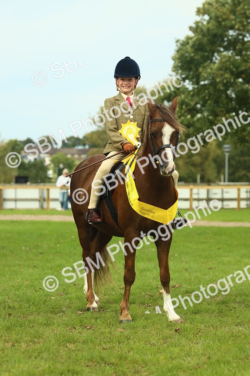 SBM_70015 - S59 - Mountain & Moorland Ridden Small Breeds