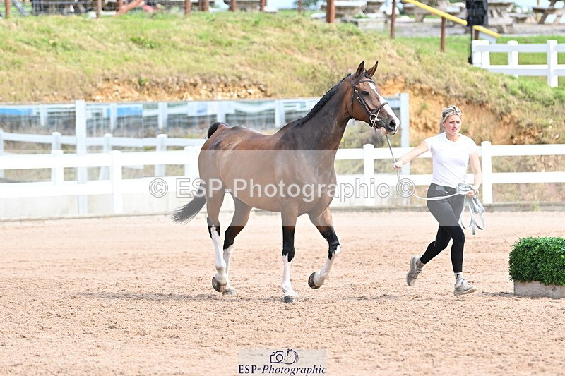 240717A-161955-03410 - Trot Up 4pm to 5pm