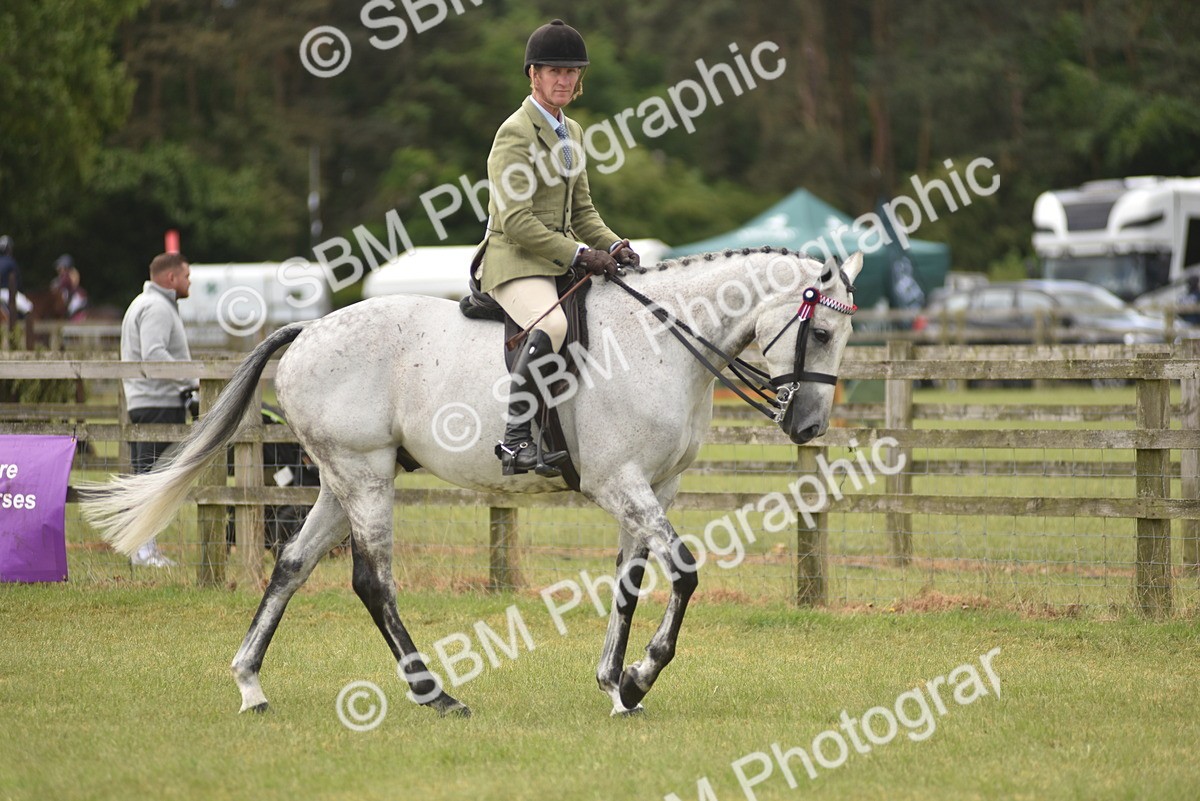SBM_15127 - Class 113-114 - Retraining of Racehorses Ridden