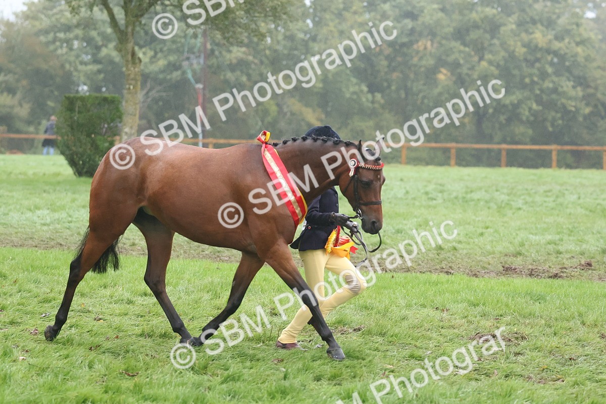 SBM_73233 - Super Supreme Championship(Sun)