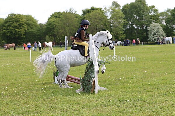 IMG_2365 - Working Hunter