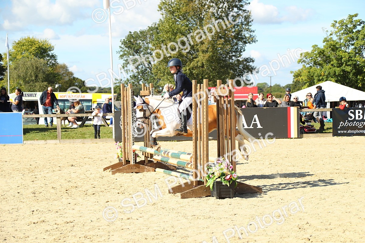 SBM_39347 - J6 - Junior Pony 55cm Championships