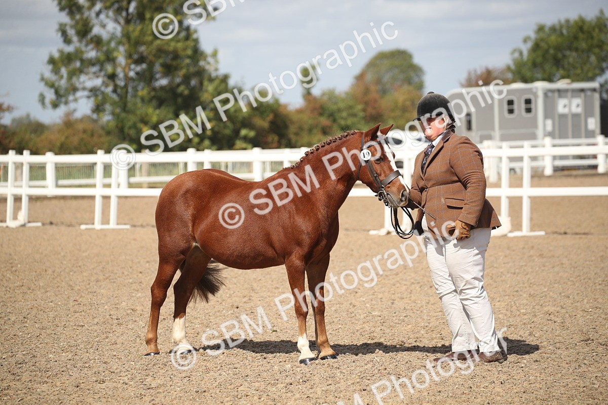 SBM_23147 - Class 606 - 2026 - Area - IH Pre Vet