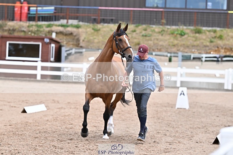 250716-135454-00698 - Trot Up 1.30 to 2.30