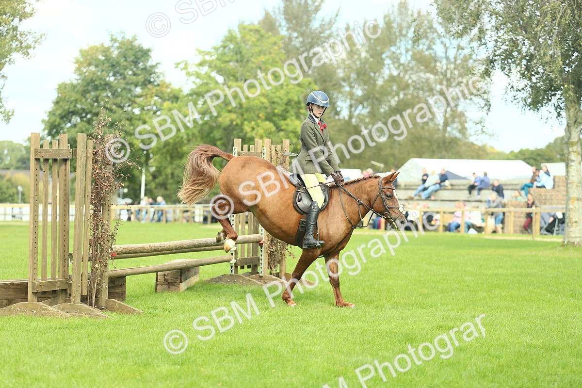 SBM_44559 - S31 - Working Hunter Pony
