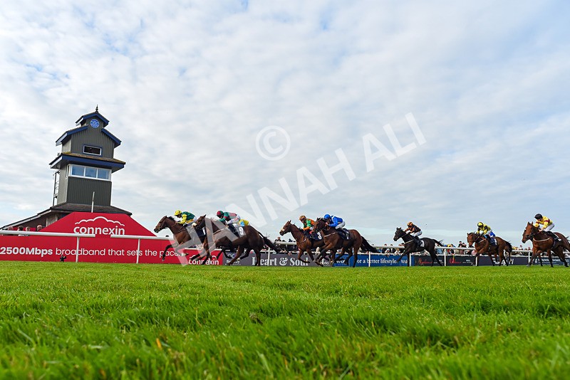 040526-Race 8-Coolree-2132 - Race 8