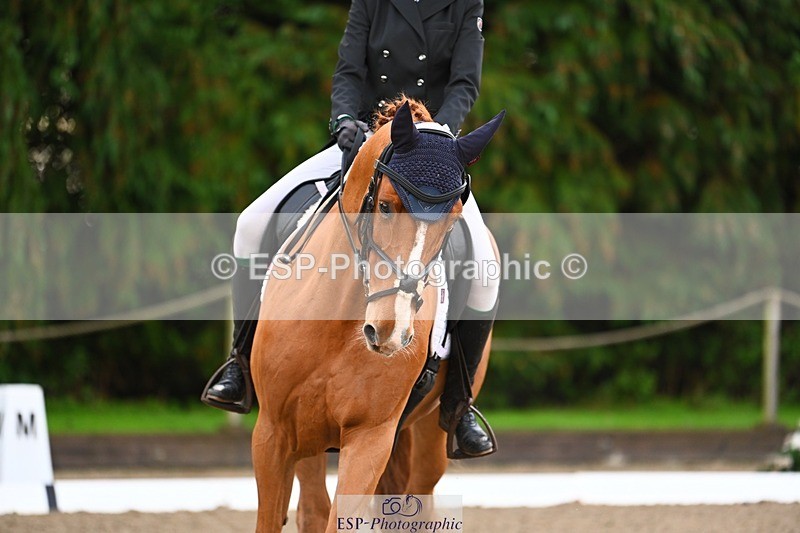 231021-091848-12503 - 223-RASCAL.ROULETTE-Charlotte.Byrnes-DR