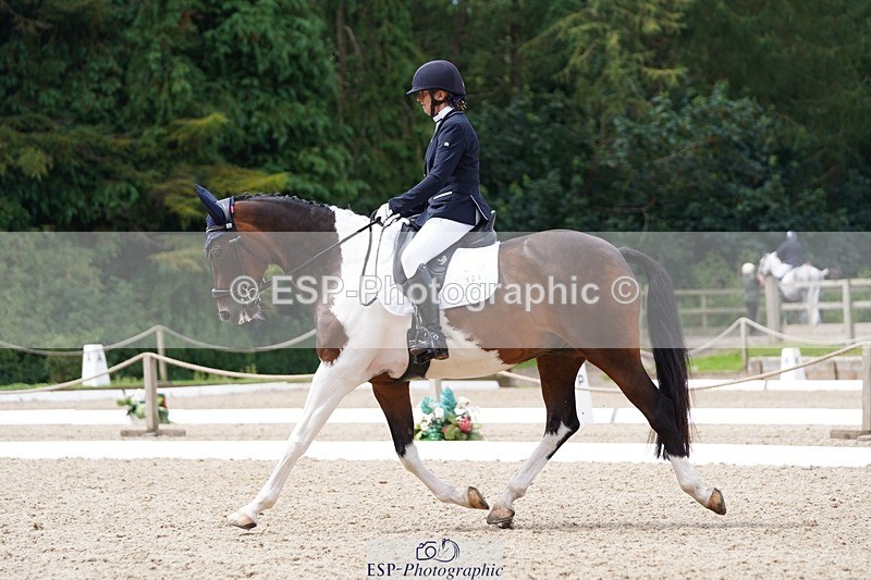 240721-113118-07816 - 124-Sophie_Savage-Two_Tone_Ted