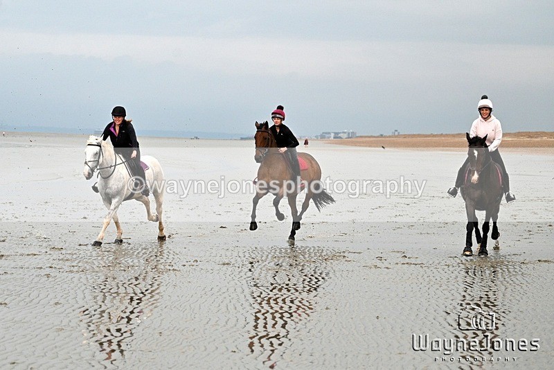 WJ7_9134 - Hayling Island Beach Shoot 22-09-24