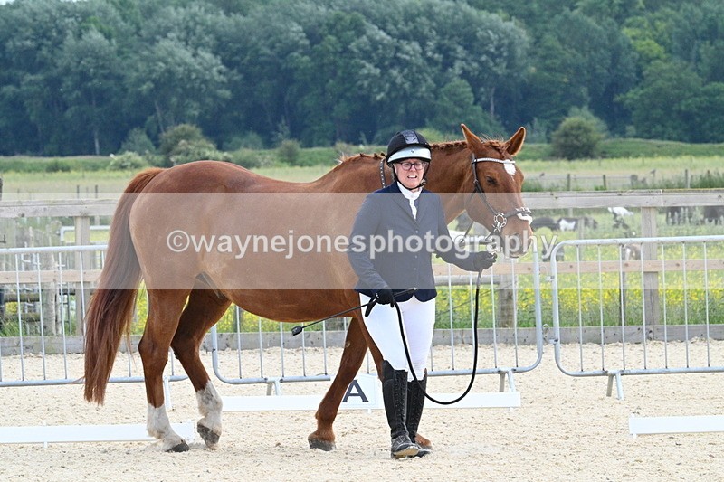 WJ7_8019 - Time 15:39 to 16:08