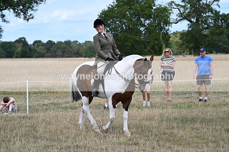 WJ7_4622 - Class 12 Ridden Cob