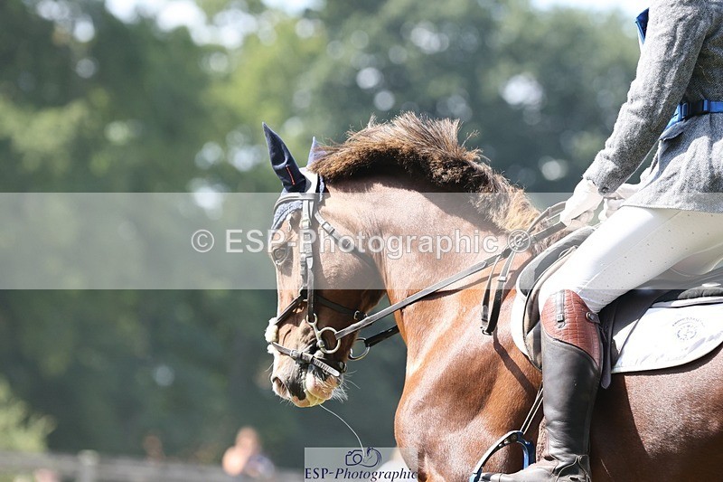 250823A-134154-31349 - Arena D