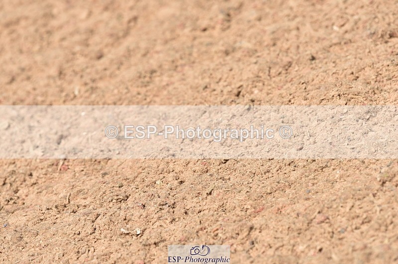 230810A-115026-00964 - Cls 9 Foxhunter