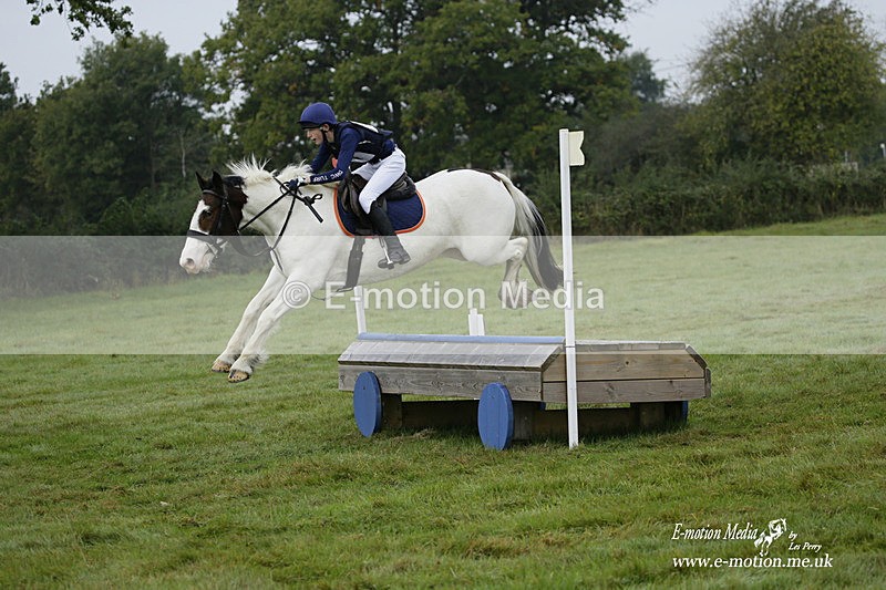 WWHT 171021 0217 - Novice Restricted (0.80m)  17/10/21
