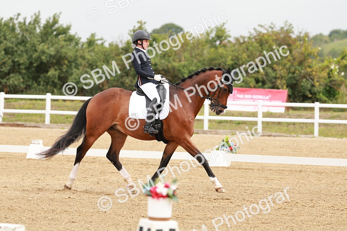 SBM_009220 - Class 12 - Elementary 6 - 10.50-11.50