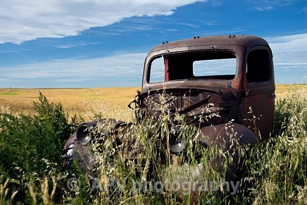  - Travel Images