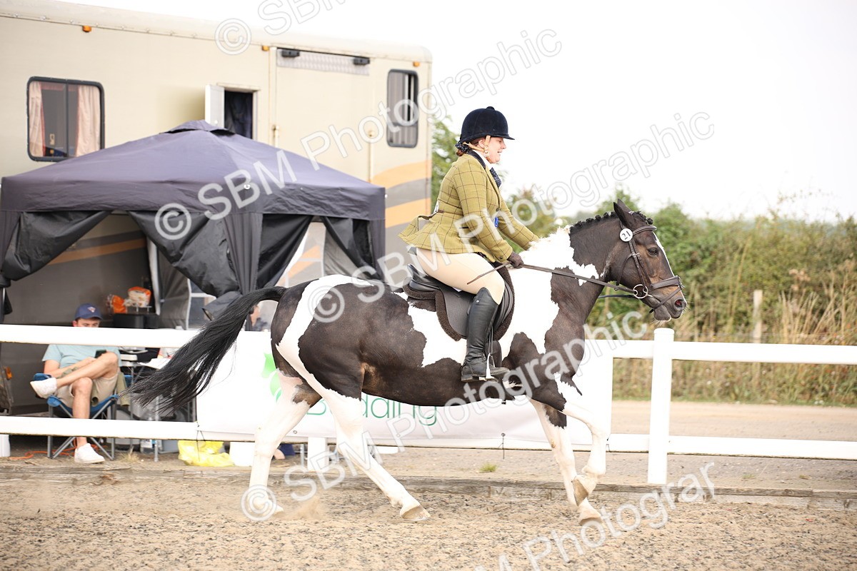 SBM_13621 - Class 406b - Working Veteran 50cm (20+)