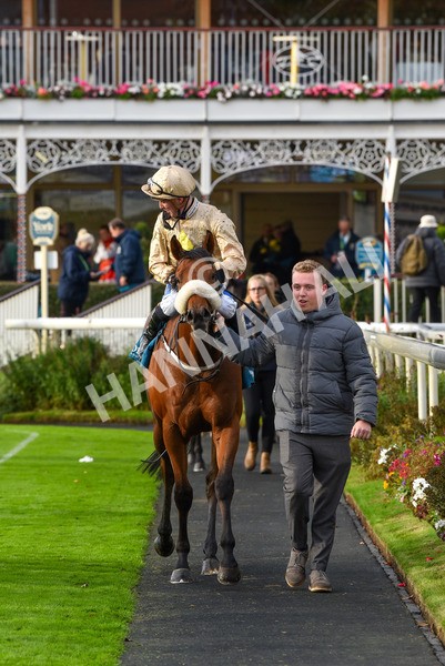 131023-Race 5-Irish Nectar-9733 - Race 5 4.25pm Parsonage Hotel And Cloisters Spa Nursery Handicap