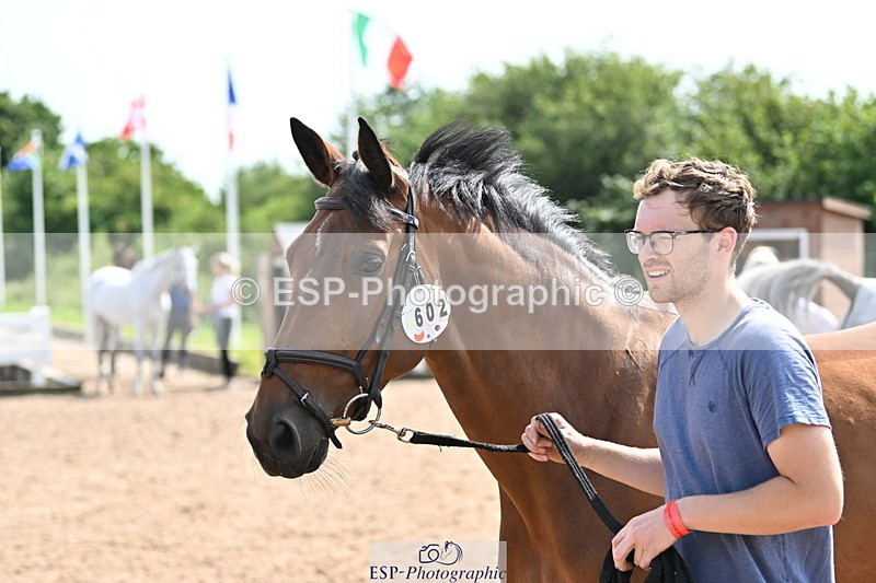 240717A-155847-03238 - Trot Up 3pm to 4pm