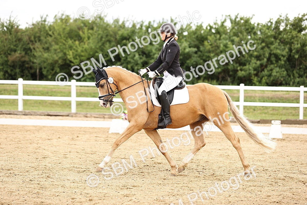 SBM_002089 - Class 2 - Novice 4 - 10.36-11.39