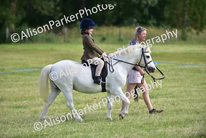 20260614-1131 - Class 11a - Lead Rein Pony (Unplaited)