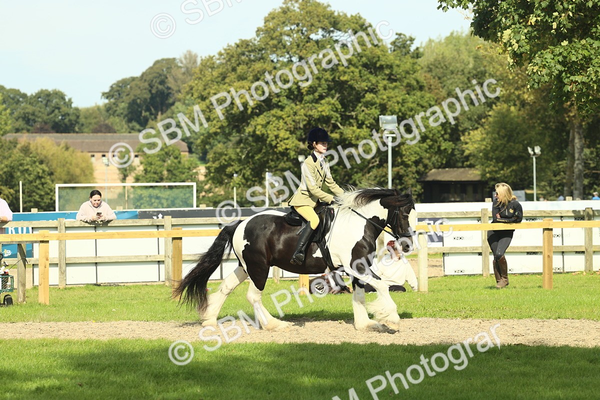 SBM_67608 - S56 - Coloured Pony Ridden