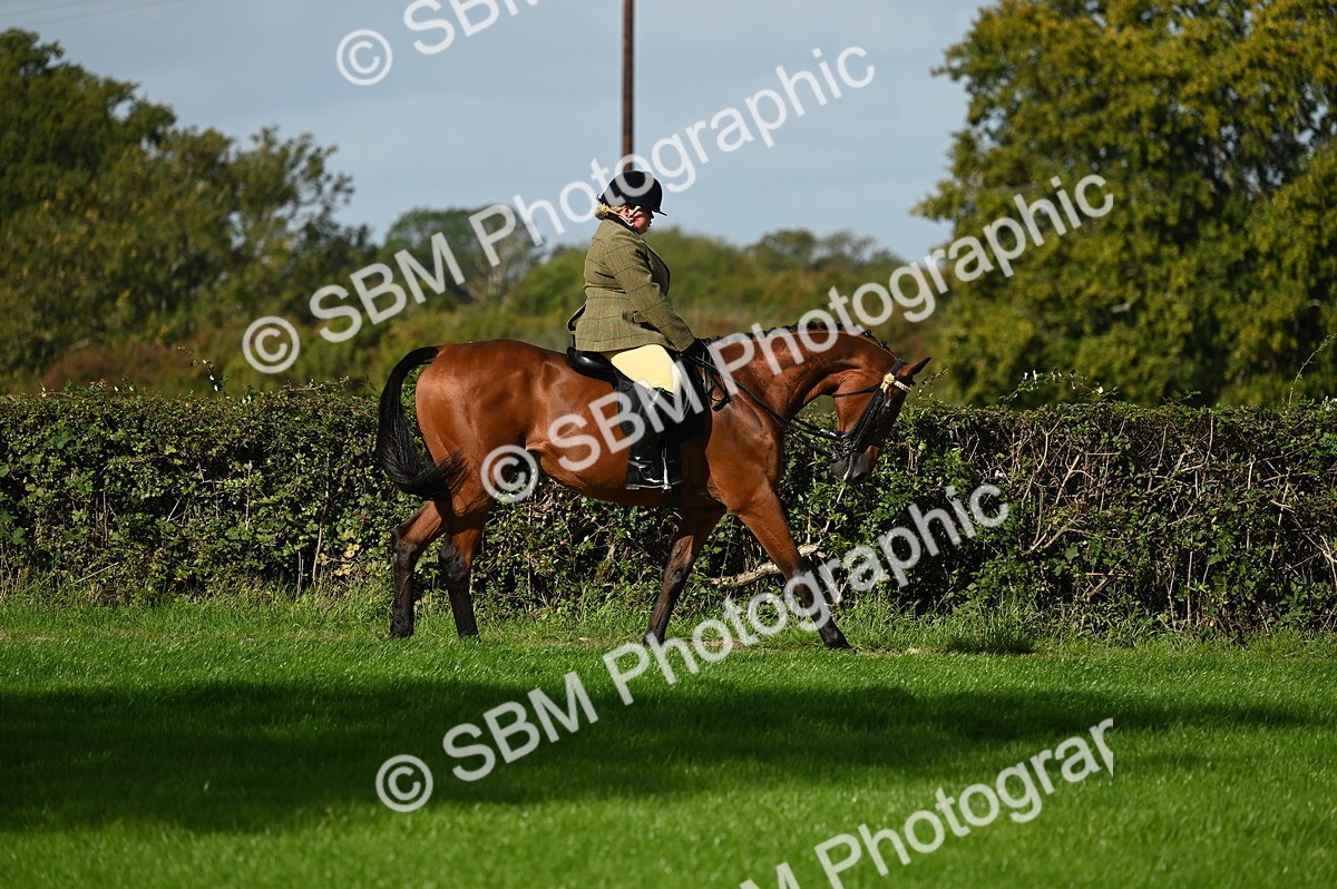 SBM_01369 - S2 - TSR Ridden Horse Showing