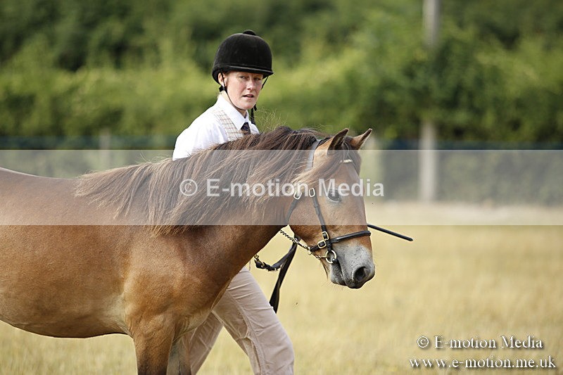 _C7A9225 - BVRC Sow 2018 Ring 2