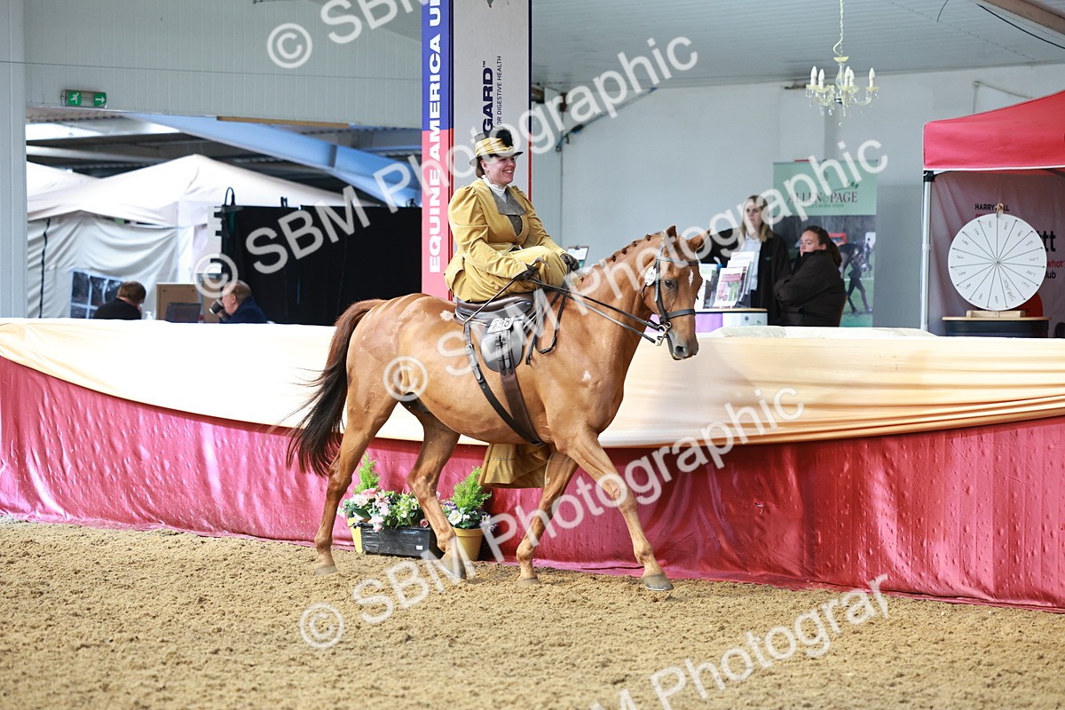 SBM_13544 - Class 105 - Ridden Costume - Side Saddle