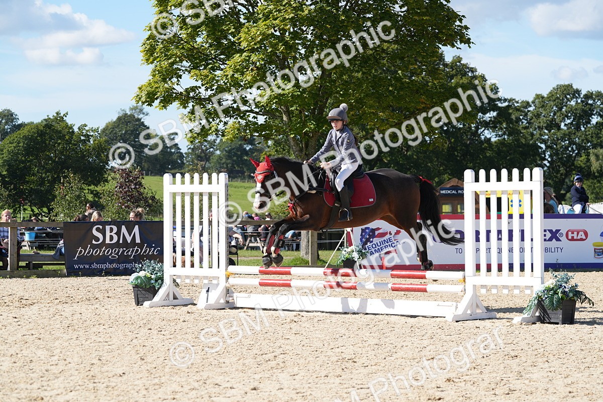 SBM_38726 - J21 - Junior Horse 60cm Championship