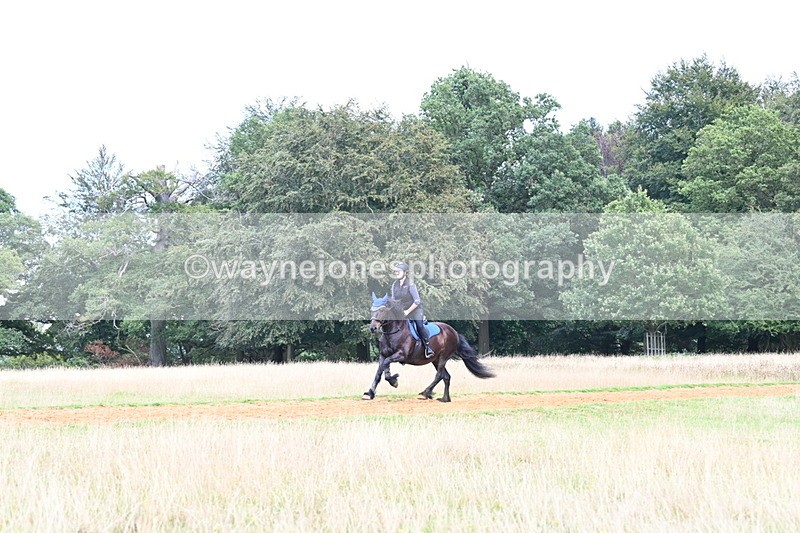 DSC_8711 - Time at Statue 13:52 to 14:33