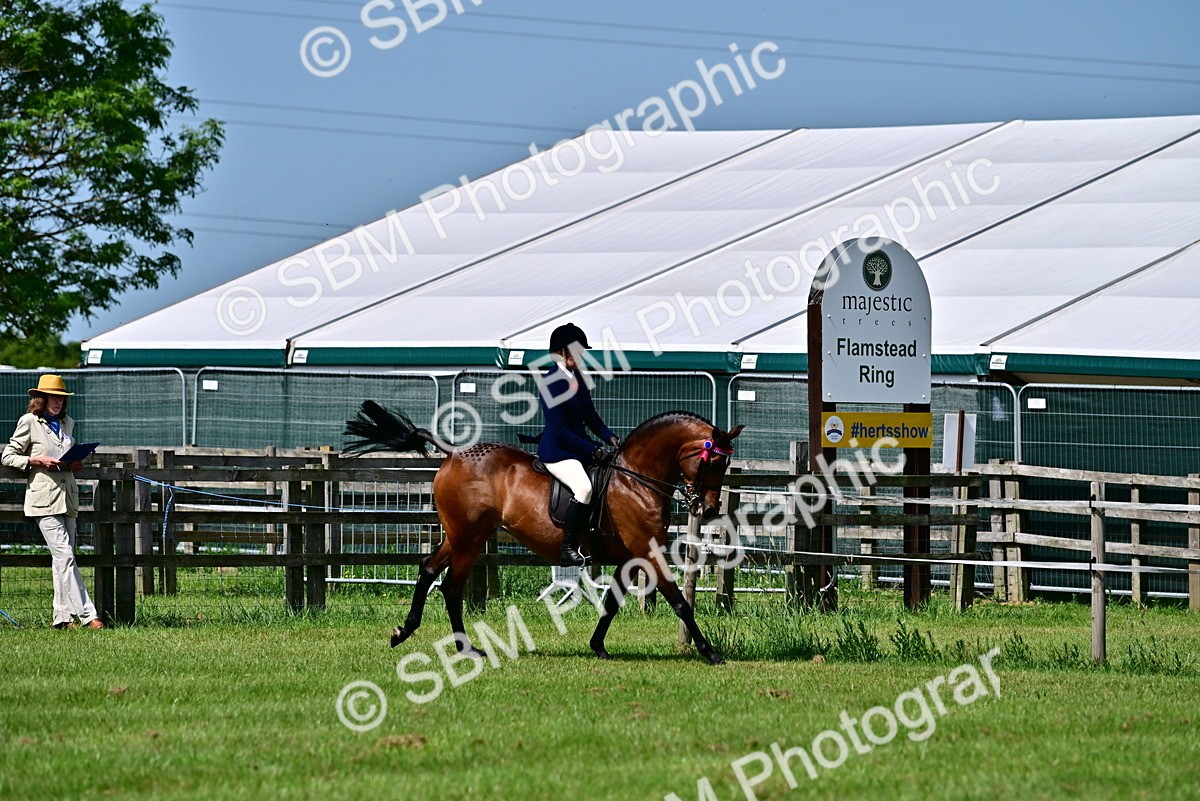 SBM_03781 - Class 58 - TSR  Ridden Veteran Amateur of the year