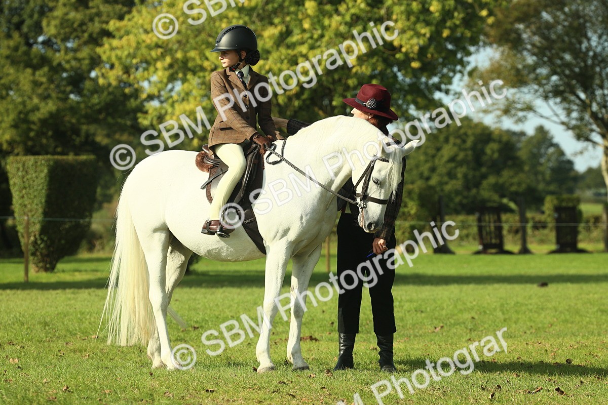 SBM_59875 - S38 - Starters Ridden Showing