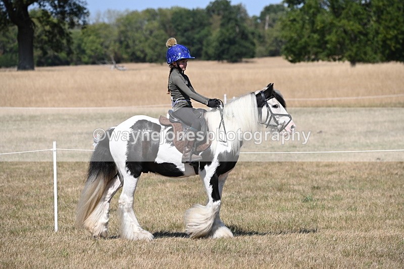 WJ6_9138 - Championship Classes 33-38